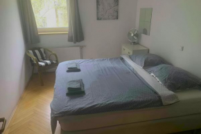 Damati Kft Liszt Ferenc ter Inner City Flat